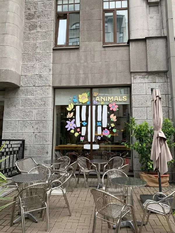 Будете в Питере - позавтракайте в animals на Некрасова - получите, в первую очередь, визуальное наслаждение 💕