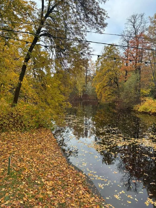 🍁В какой актив инвестировать этой осенью?