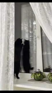 Выходные - хорошее время немного остановиться и поговорить с собой ❤️