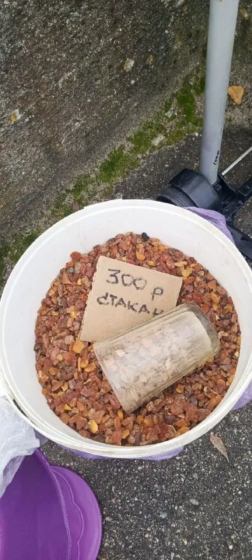 Фото дня!!