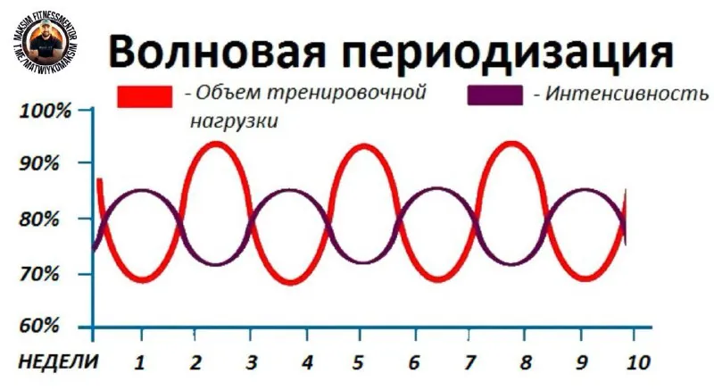 Что такое периодизация, зачем ее использовать для роста мышц ❓