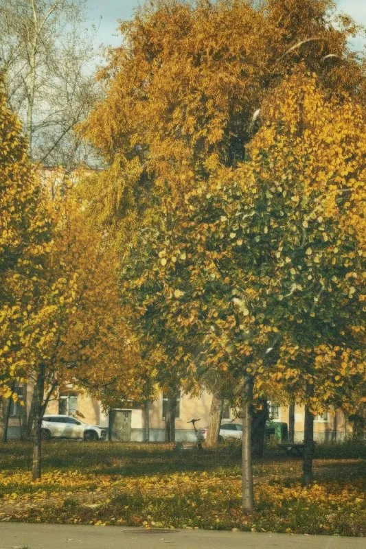 как красиво вокруг🍁🍂