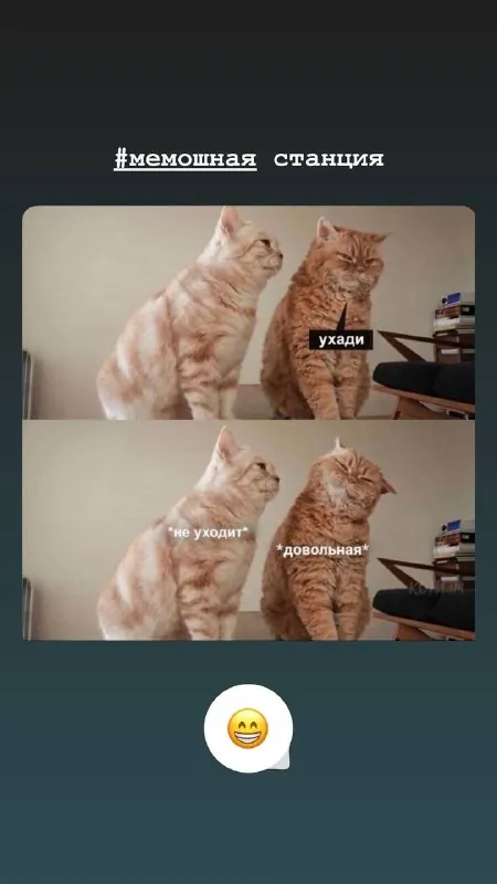 #мемошная