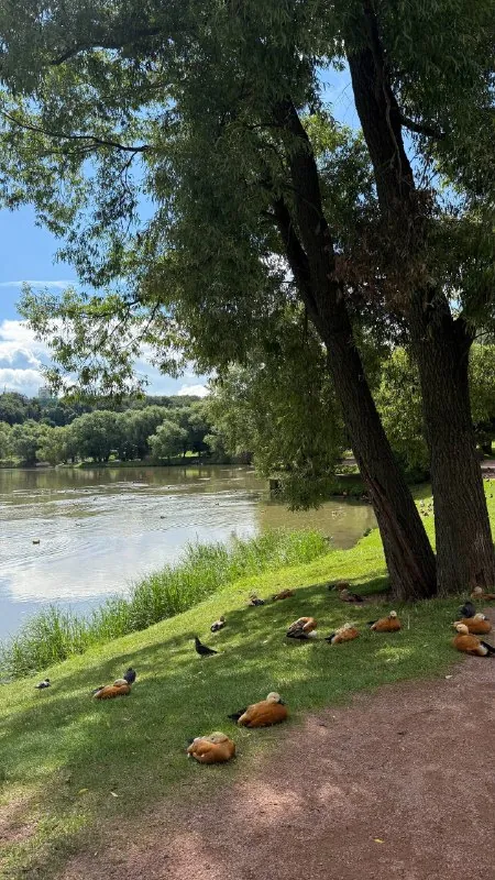 Небольшая пробежка в парке Царицыно!🌳 всем спорта🏃‍♀️‍➡️