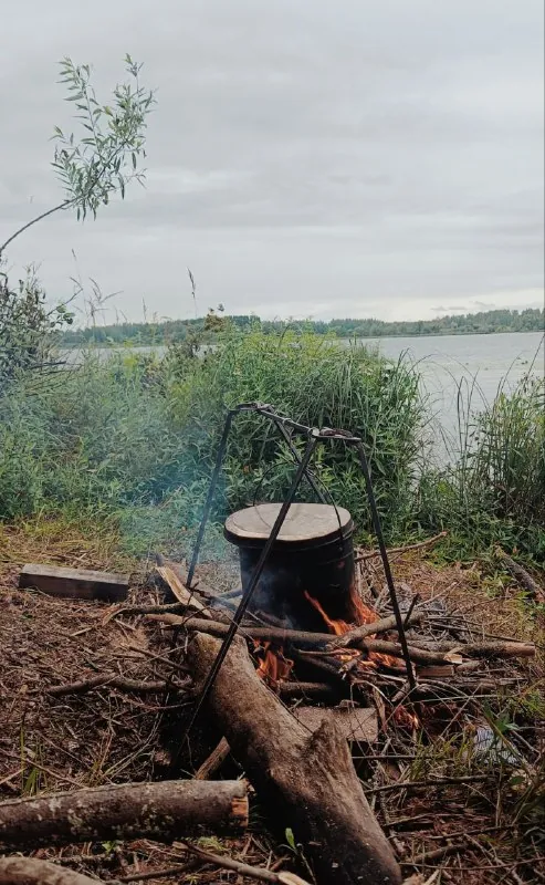 Шалость удалась!