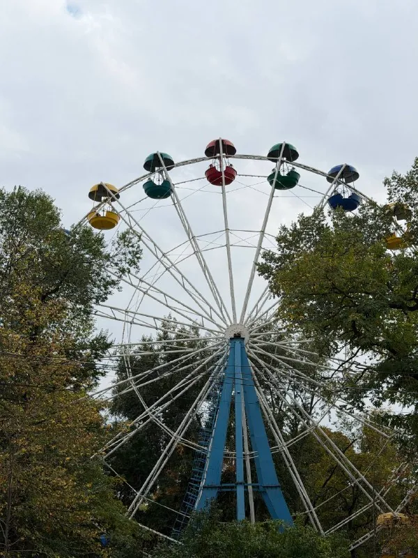 Бар, огромный шницель и акварель 🤩