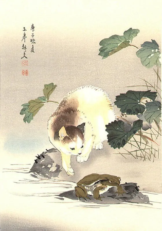 «Кошка и лягушка»