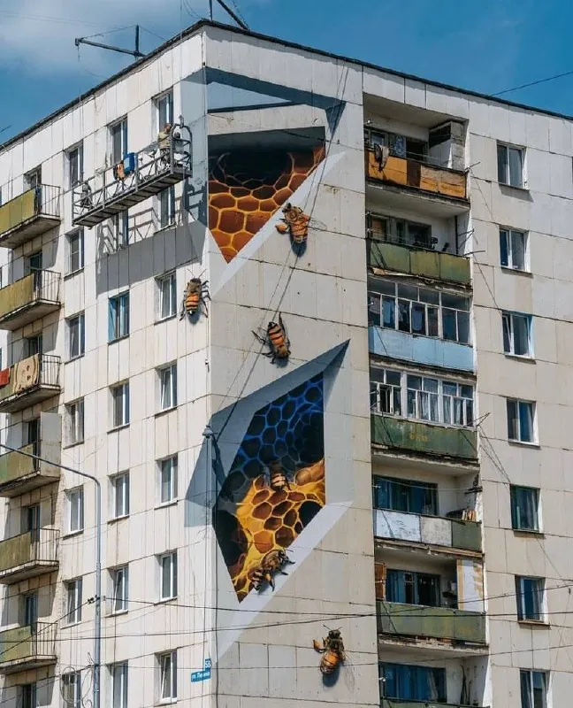 Shozy (Данила Шмелёв)