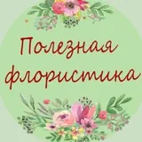 Полезная флористика