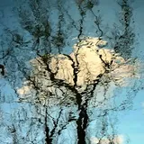 ArtPhotoBoris