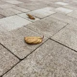 Вибропресс головного мозга