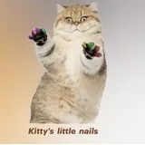 Kitty's Little Nails