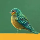 Непонятная, но милая дичь | К.А.Терина