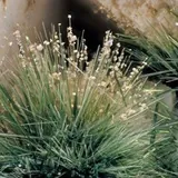 Kola Nature and Minerals / Природа и минералы Кольского полуострова)