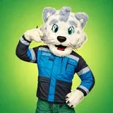 Барсик тут 🐾