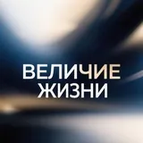 Величие жизни