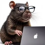 Crypto Mole 💎