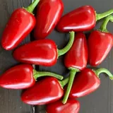 Chilisad