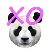 China XOXO