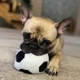Dr.Mia