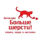 Котокафе Больше шерсти, Екатеринбург