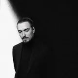 визуальный дилер.
