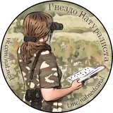 Гнездо Натуралиста 🏕 Live