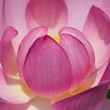Стихи - моя стихия. Природа и стихи🪴📜