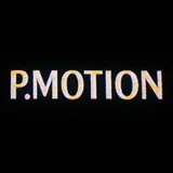 ЦИФРОВЫЕ ПИРАТЫ 🏴‍☠️P.MOTION