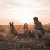 redmalinois