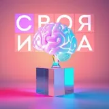 ❓Своя Игра — вопросы