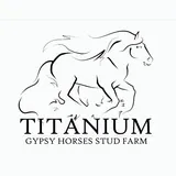 Libontova 🍀 Titanium Stud Farm