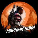 МИРНЫЙ ВОИН. ММА и психология.