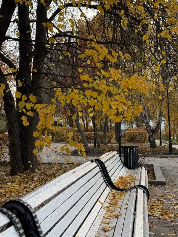 Взять кофе и пойти в парк!🍂🍂