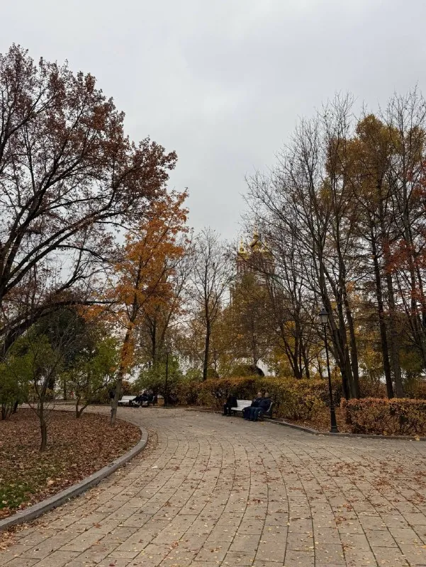 Взять кофе и пойти в парк!🍂🍂