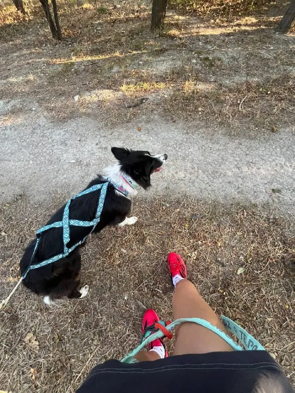 побегали с девчонками кк🏃🏼‍♀️