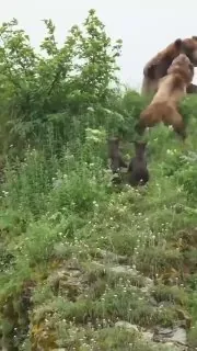 Вот что значит мать.