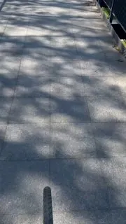 Проехали с другом по участку Зеленого кольца.