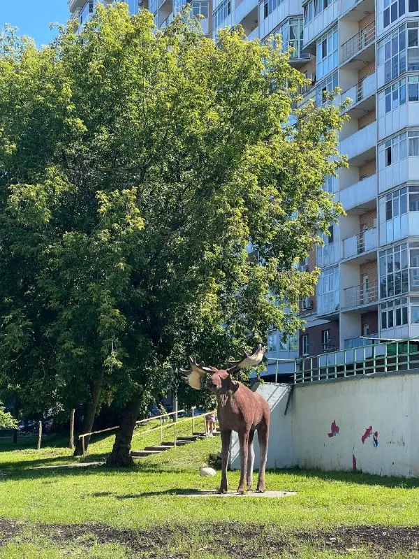 Проехали с другом по участку Зеленого кольца.