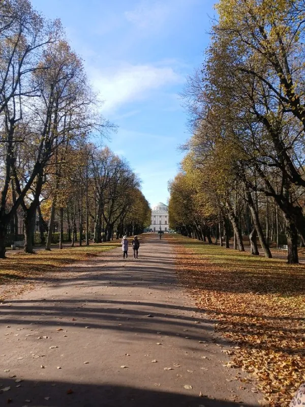 🌲🌳 Парк, продолжающийся во дворце?