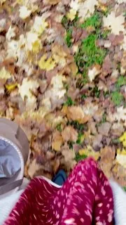 Что за шедевр на улице.