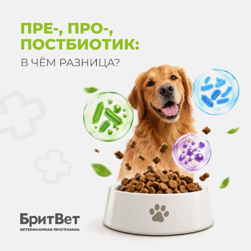 Владелец на приёме говорит: «Ну, мы ещё что-то для микрофлоры даём».