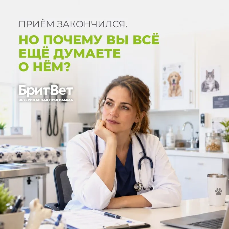 Приём закончился, но вы всё ещё находитесь в том разговоре.