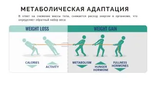 Почему «меньше есть» — не работает ❌