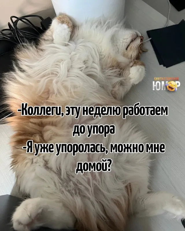 😂 я уже "упоролась"