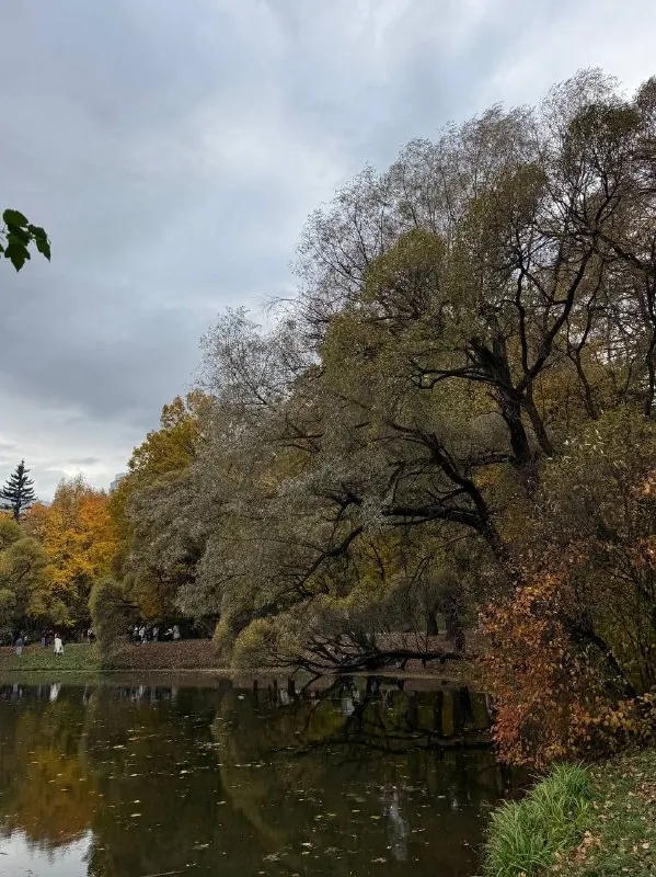 📍Нарышенский пруд