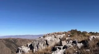 Видеопривет от Оленьки Покровской.