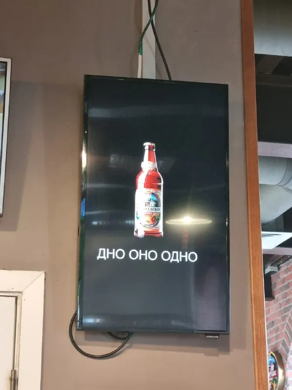 Зато бар «На дне» живее всех живых!
