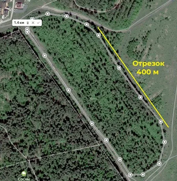 Поездка в Петровск и прогулка по лесопарку «Сосны» с градозащитниками получила неожиданное продолжение: краевед Саша…