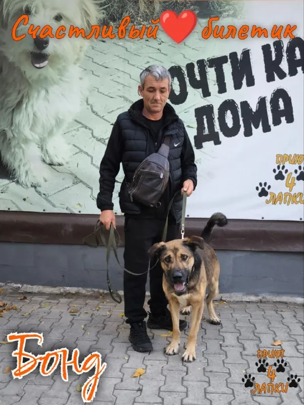 Ну что, друзья, у нас новый Счастливый Билетик!